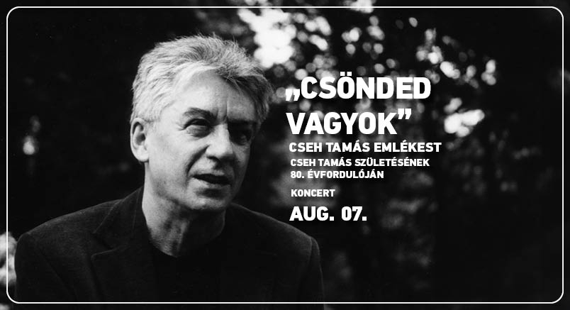 Csönded vagyok